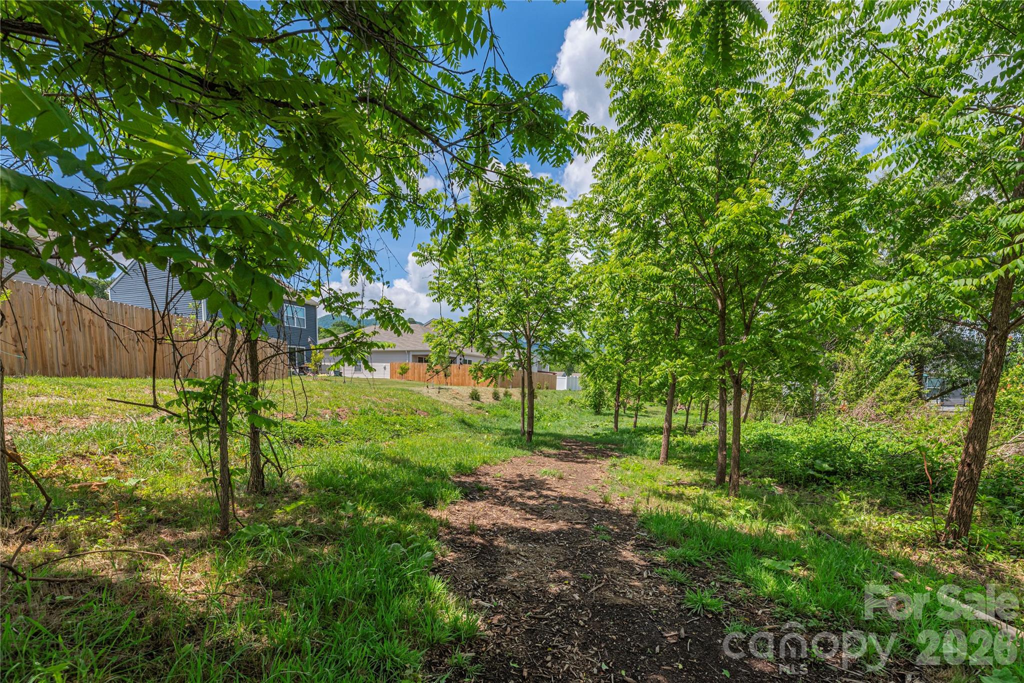 8 Madelyn Drive Clyde, NC 28721 - Photo 40 of 43 a view of backyard with green space