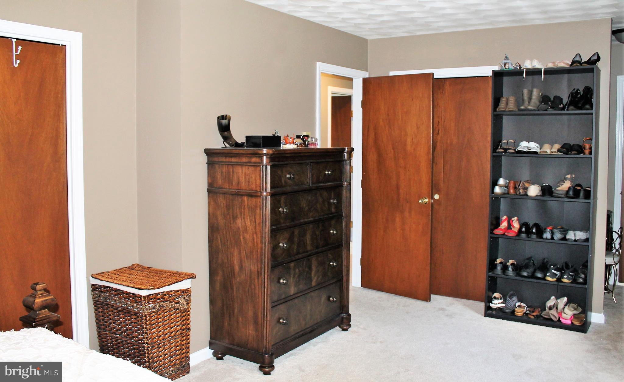115 Mine Road Hershey, PA 17033 - Photo 28 of 39 Dual Closets