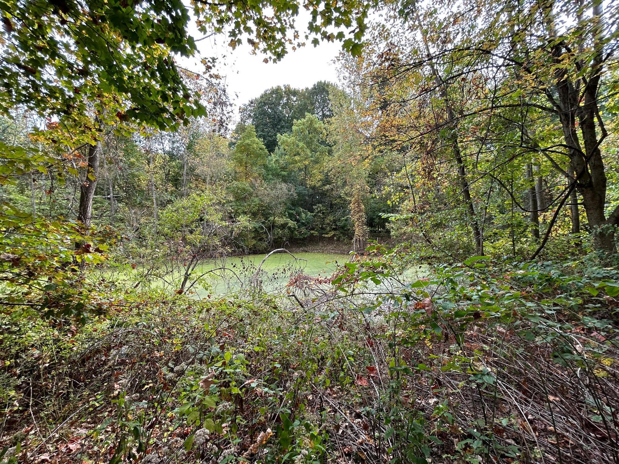 0 Ewart Road Mount Vernon, OH 43050 - Photo 8 of 15 photo7