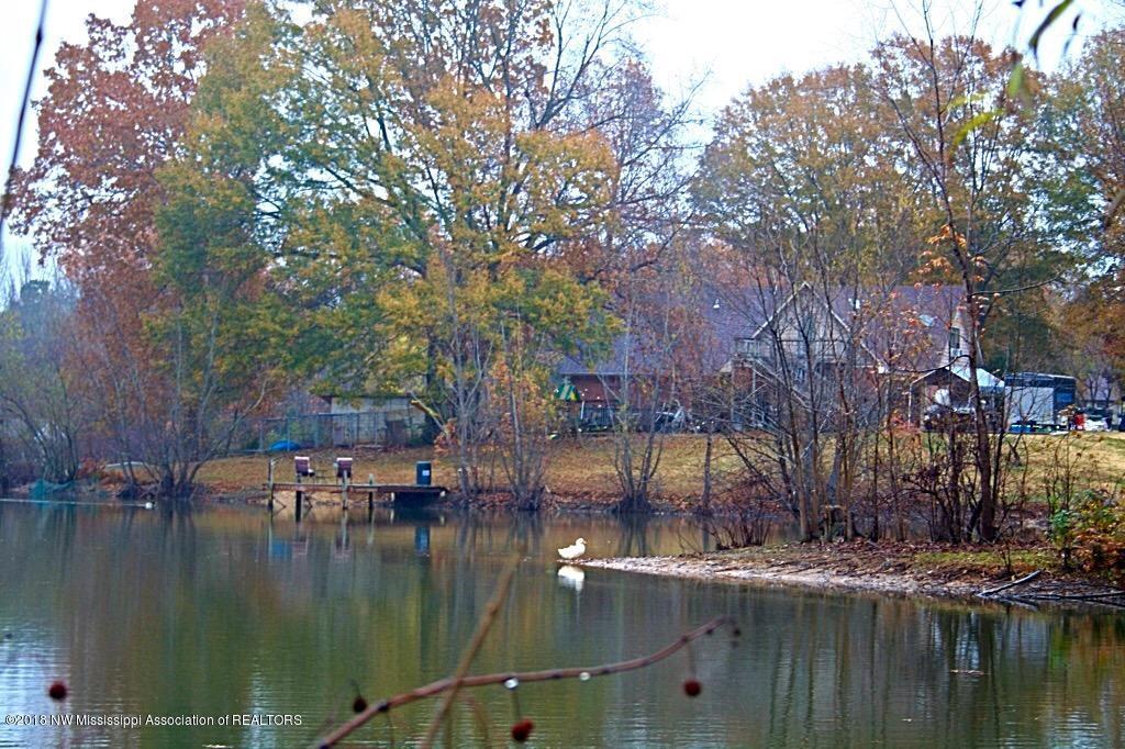 8474 Crestview Road Hernando, MS 38632 - Photo 26 of 37 IMG_0800