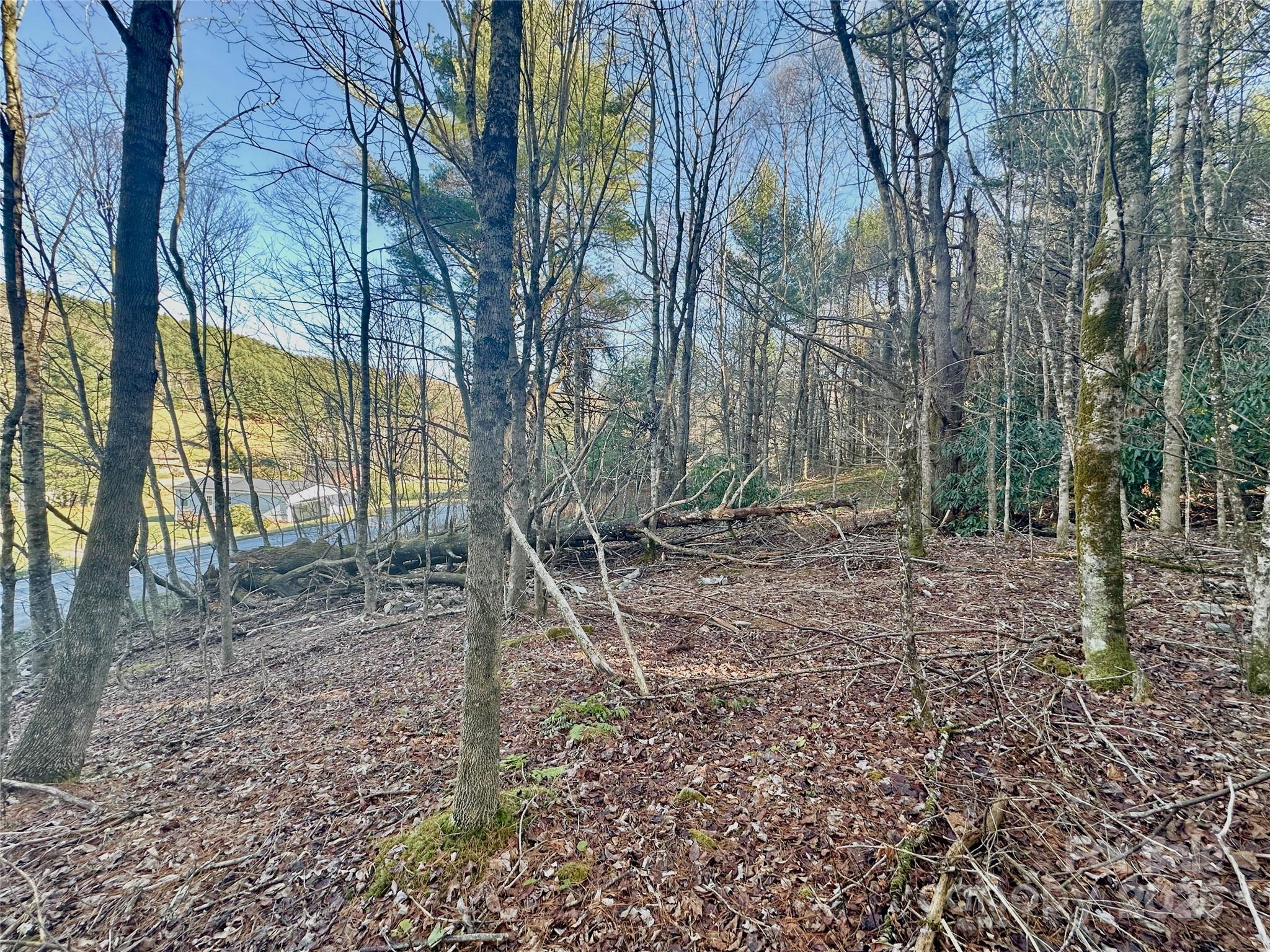 Tbd George Hayes Road Boone, NC 28607 - Photo 12 of 26