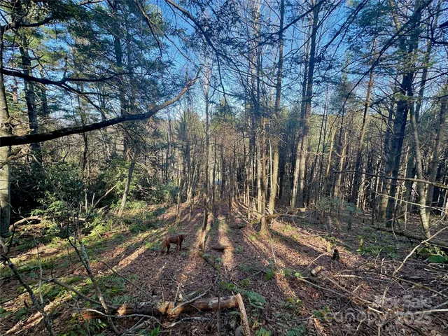 $969,000 | Tbd George Hayes Road, Boone, NC 28607