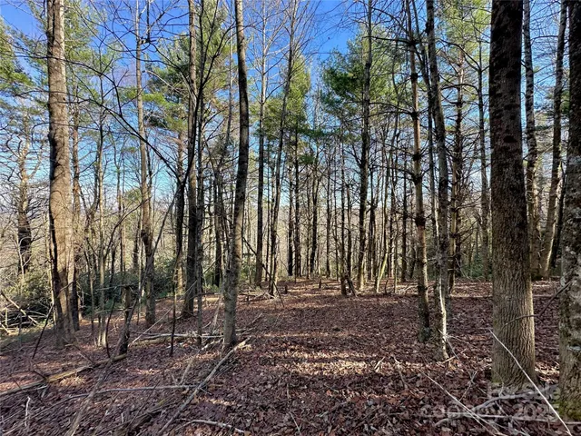 $969,000 | Tbd George Hayes Road, Boone, NC 28607