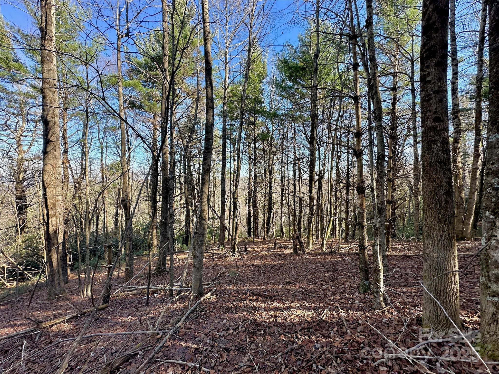 Tbd George Hayes Road Boone, NC 28607 - Photo 14 of 26