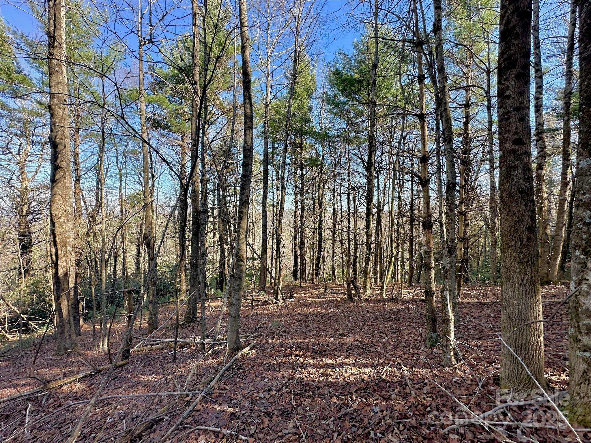 Tbd George Hayes Road Boone, NC 28607 - Photo 15 of 26