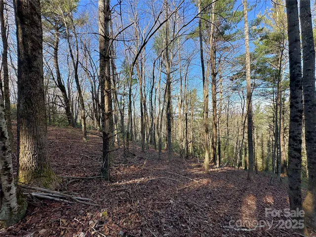 $969,000 | Tbd George Hayes Road, Boone, NC 28607