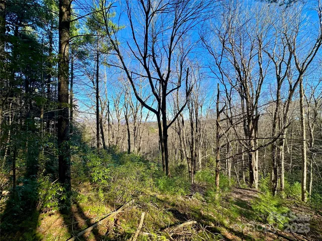 $969,000 | Tbd George Hayes Road, Boone, NC 28607