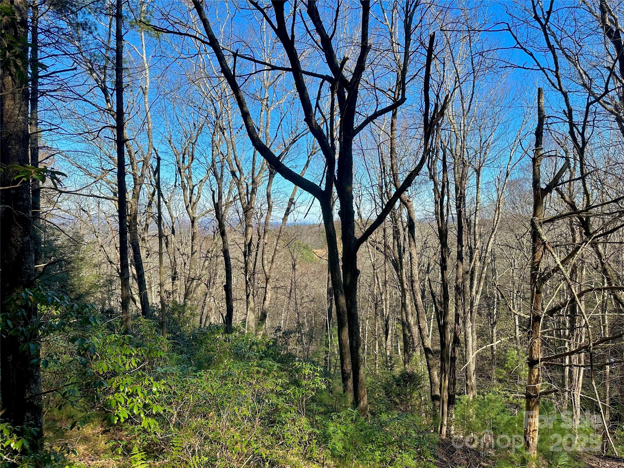 Tbd George Hayes Road Boone, NC 28607 - Photo 18 of 26