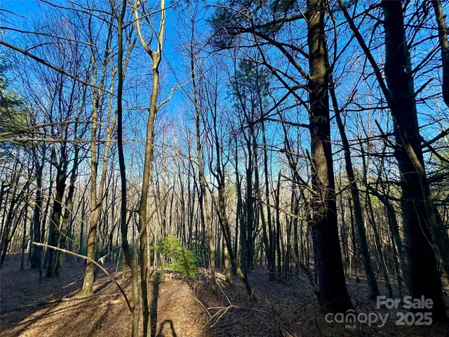 $969,000 | Tbd George Hayes Road, Boone, NC 28607