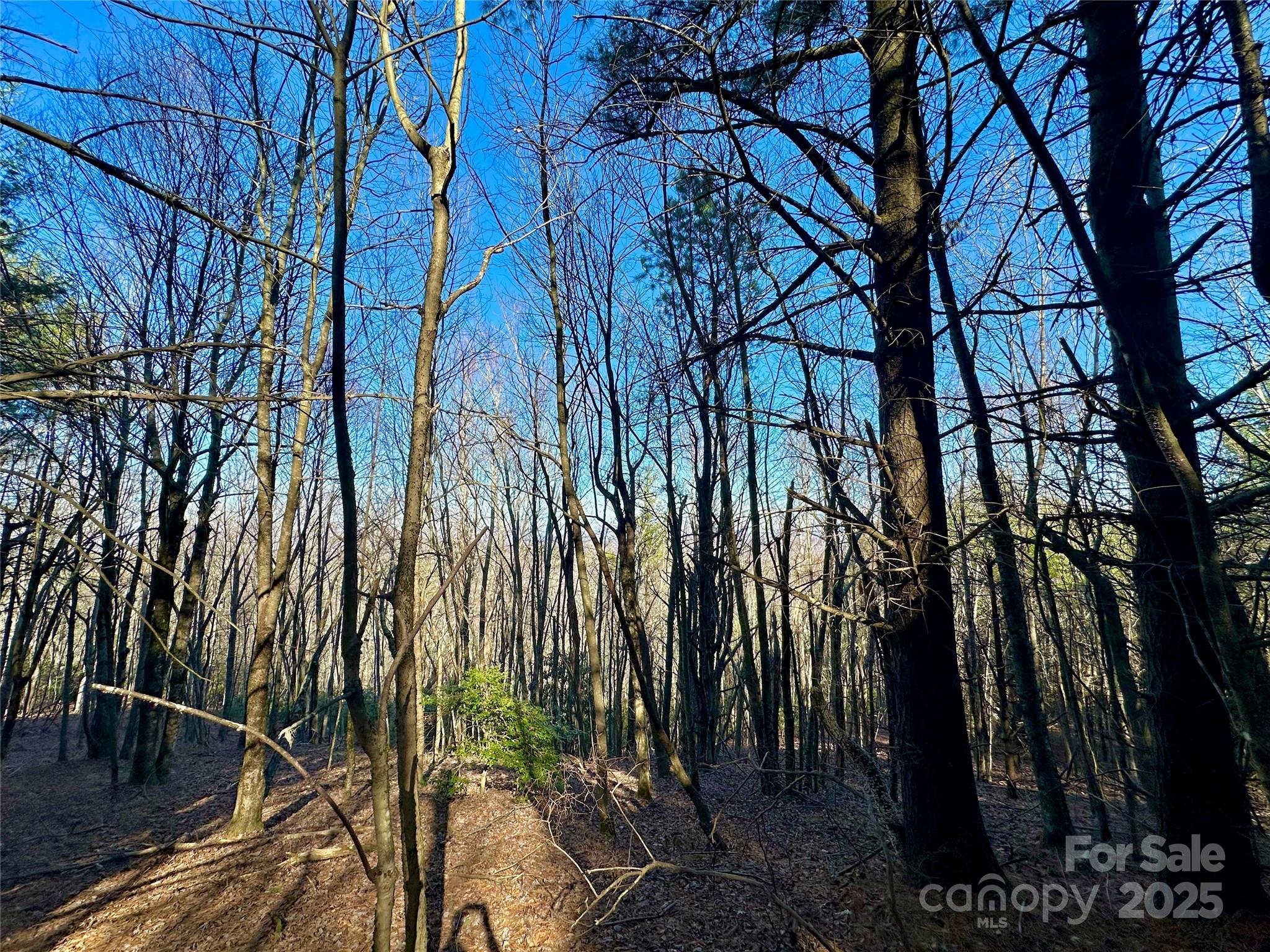 Tbd George Hayes Road Boone, NC 28607 - Photo 19 of 26