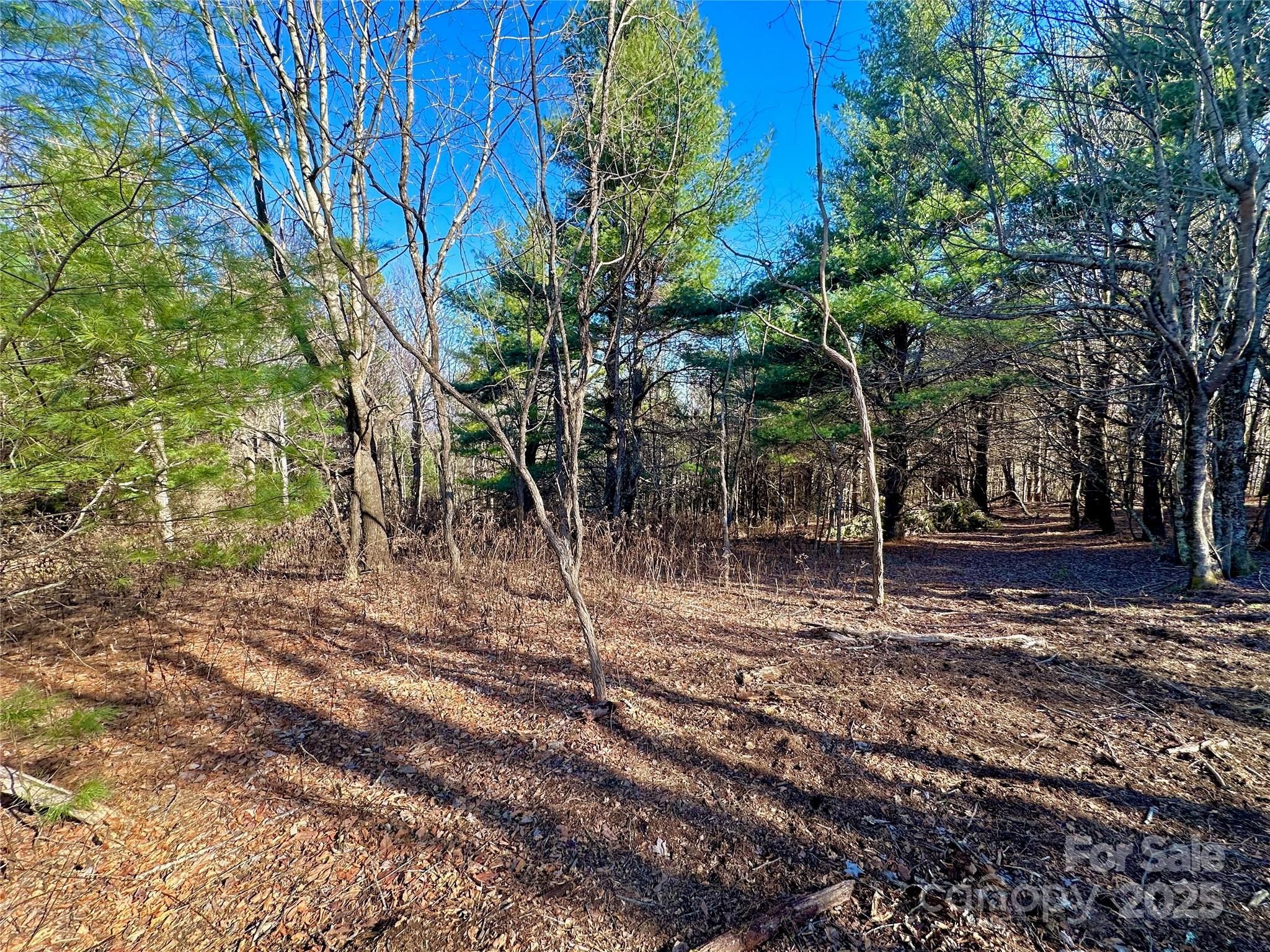 Tbd George Hayes Road Boone, NC 28607 - Photo 21 of 26