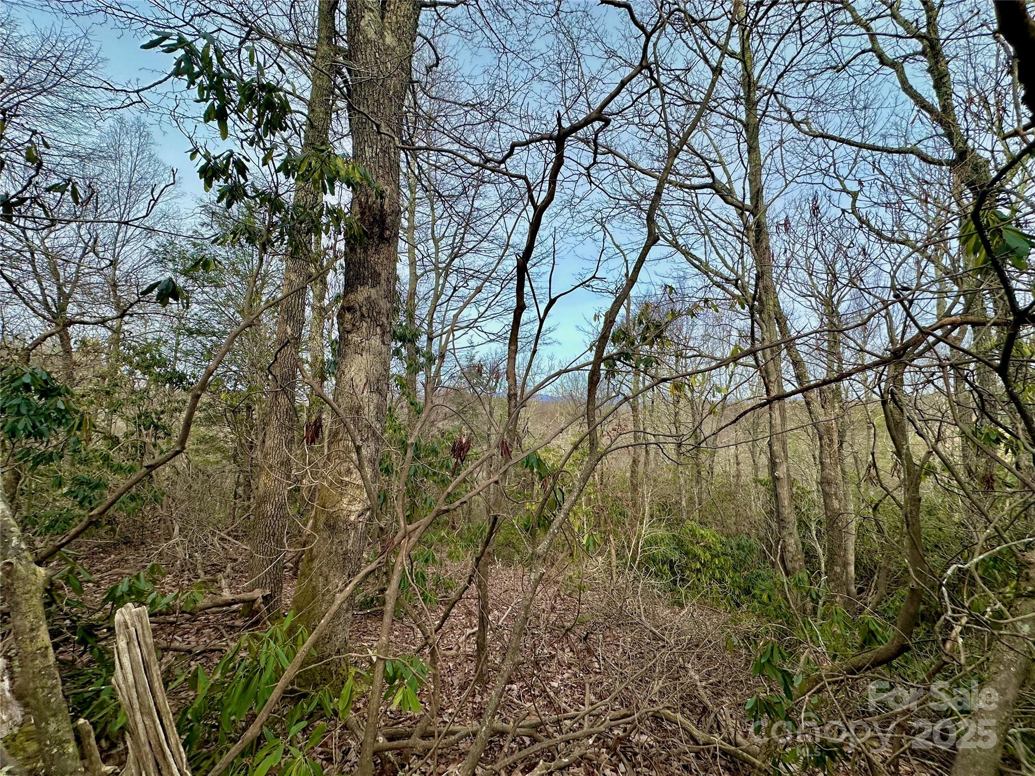 Tbd George Hayes Road Boone, NC 28607 - Photo 24 of 26