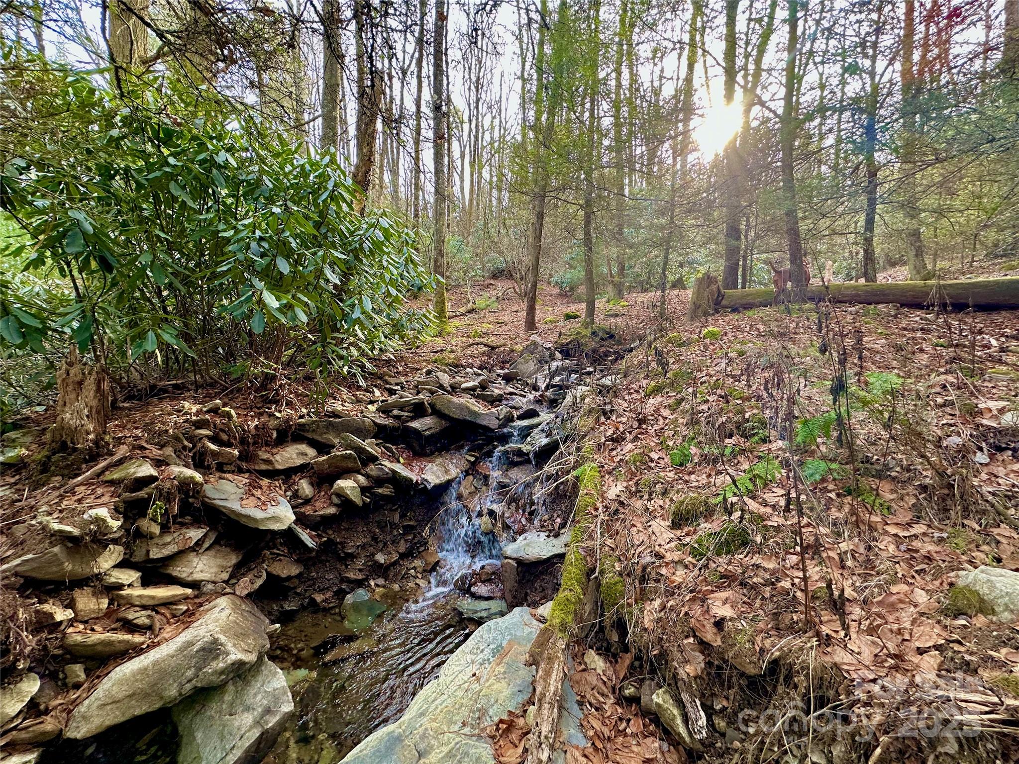 Tbd George Hayes Road Boone, NC 28607 - Photo 25 of 26