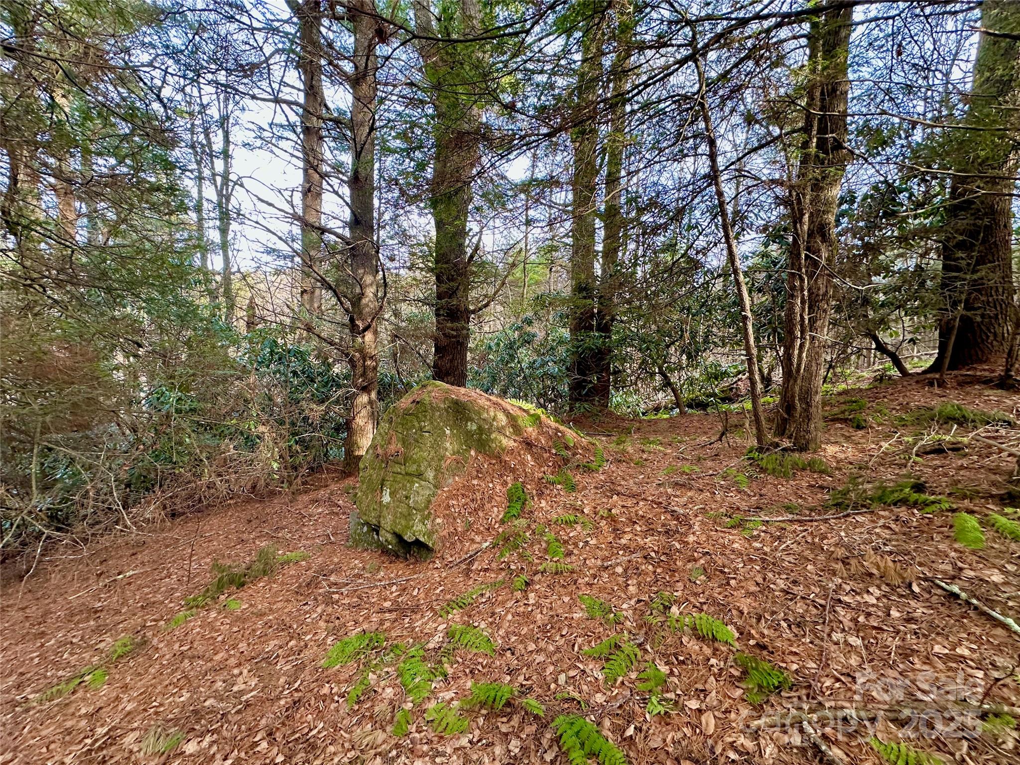 Tbd George Hayes Road Boone, NC 28607 - Photo 26 of 26