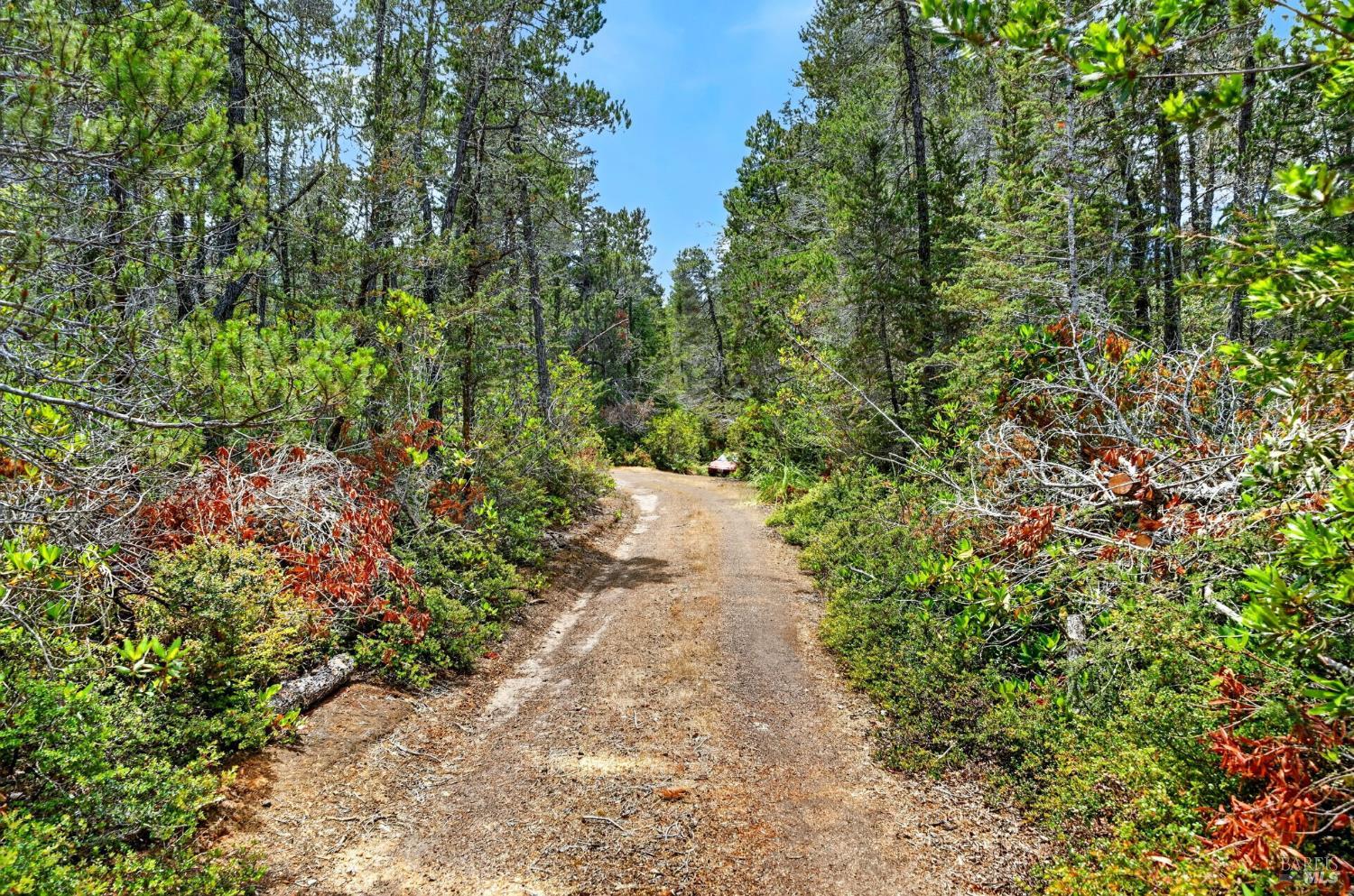27421 Albion Ridge Road Albion, CA 95410 - Photo 38 of 41
