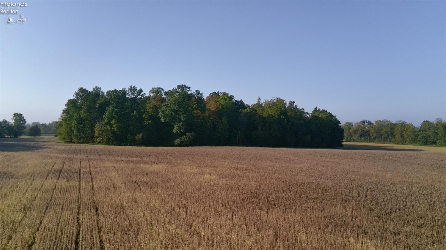 0 Section Line Road New London, OH 44851 - Photo 5 of 19 Gallery Image 5
