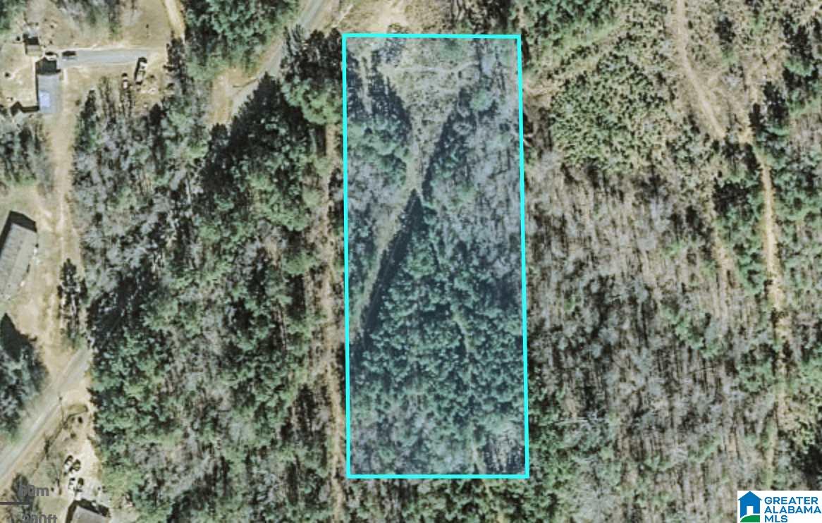 Elvester Road, Unit 1 Sumiton, AL 35148 - Photo 11 of 12