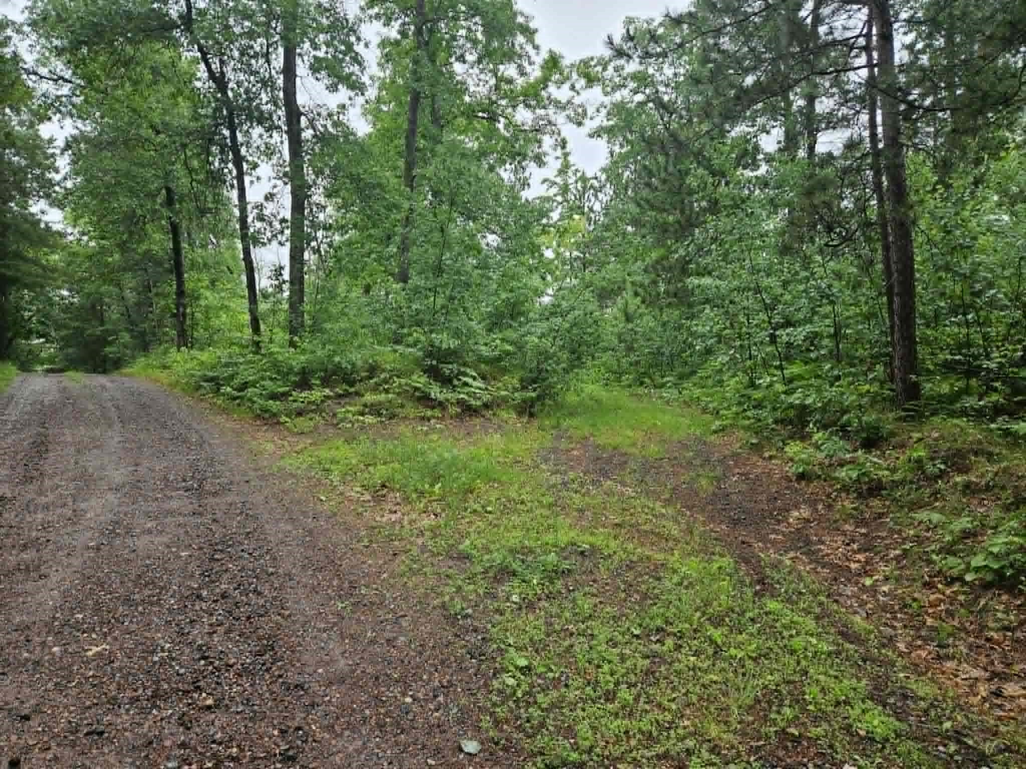 Lot 4 Hilly Lane Spooner, WI 54801 - Photo 3 of 4