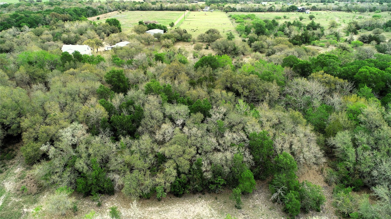 8575 Schuster Road Ledbetter, TX 78946 - Photo 40 of 48