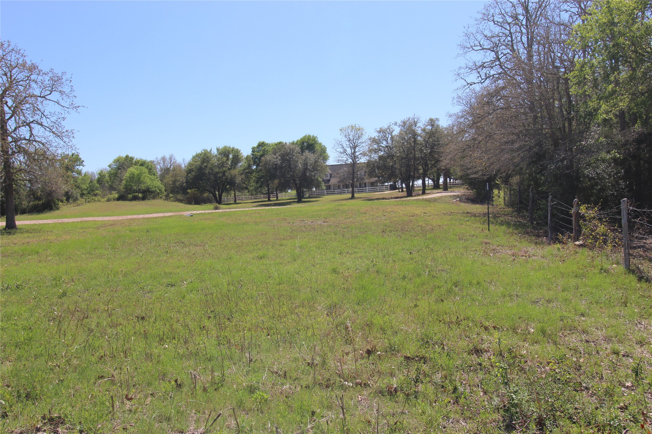 8575 Schuster Road Ledbetter, TX 78946 - Photo 43 of 48