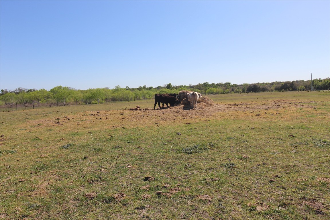 8575 Schuster Road Ledbetter, TX 78946 - Photo 46 of 48