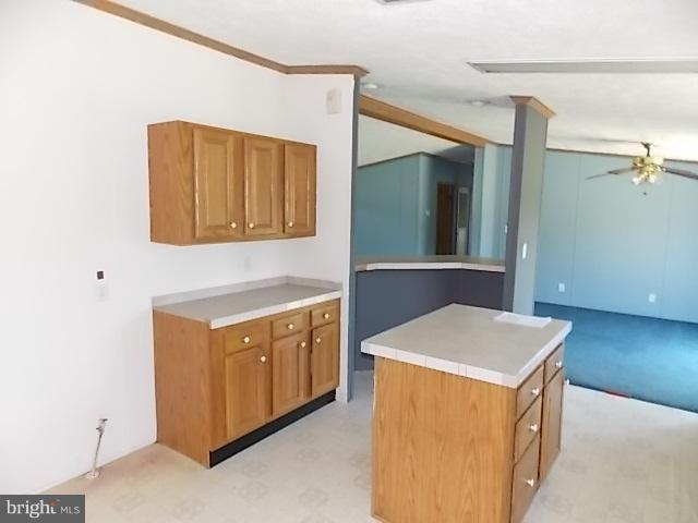 4206 Ridge Crest Road Hurlock, MD 21643 - Photo 3 of 17 Kitchen