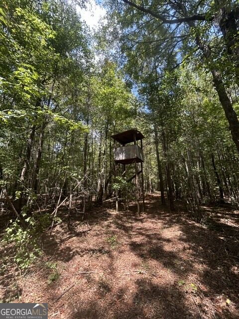 0 Sewell Road Mansfield, GA 30055 - Photo 12 of 14 Gallery Image 12