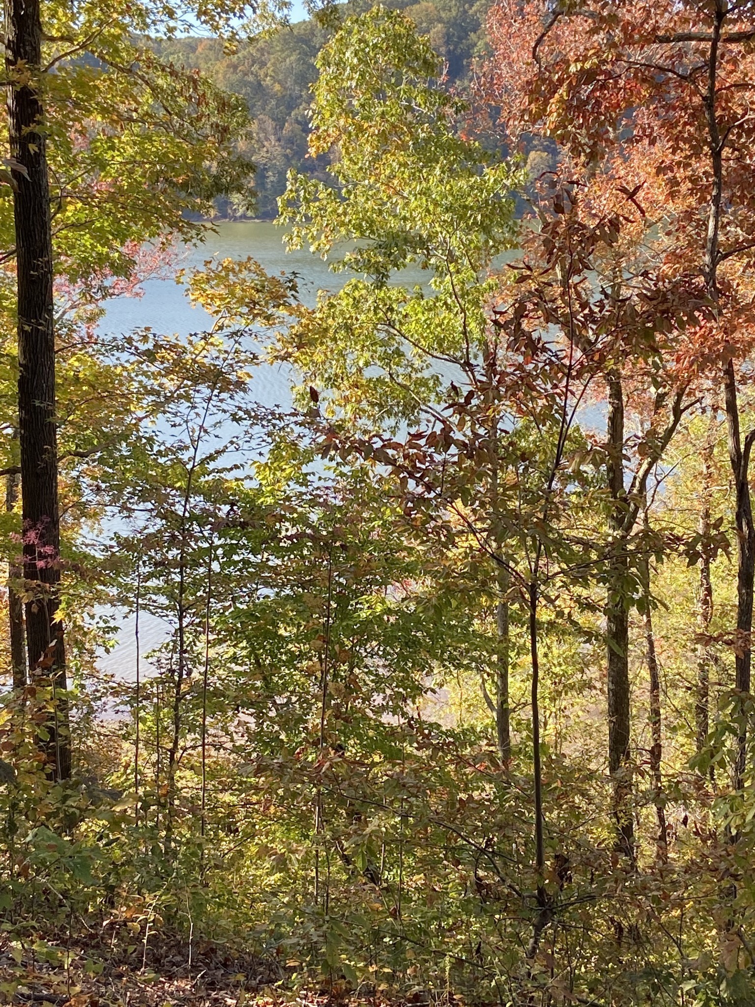 0 Hurricane Creek Road Stewart, TN 37175 - Photo 3 of 12