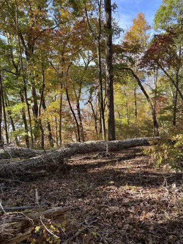 a view of a backyard of the house