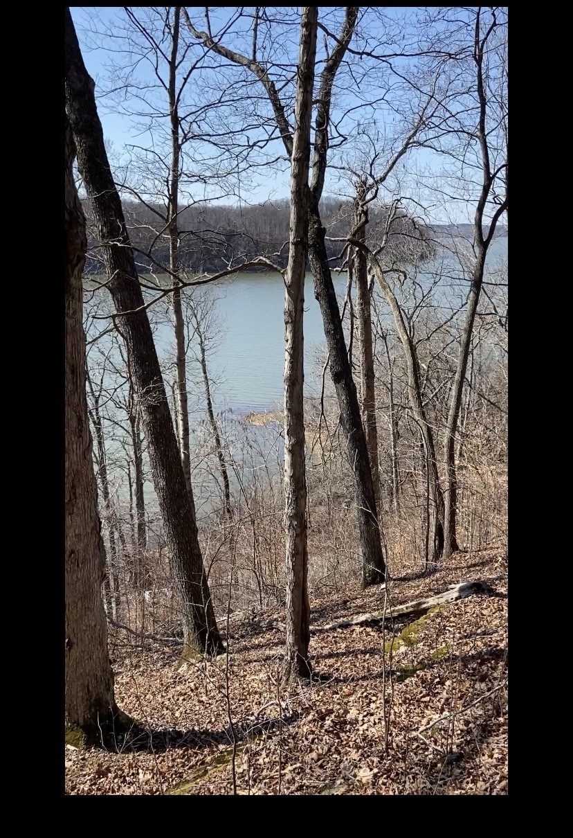 0 Hurricane Creek Road Stewart, TN 37175 - Photo 8 of 12 a view of a backyard of the house