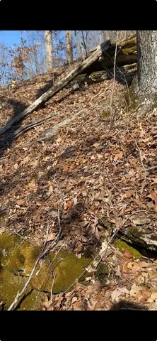 a view of a backyard of the house