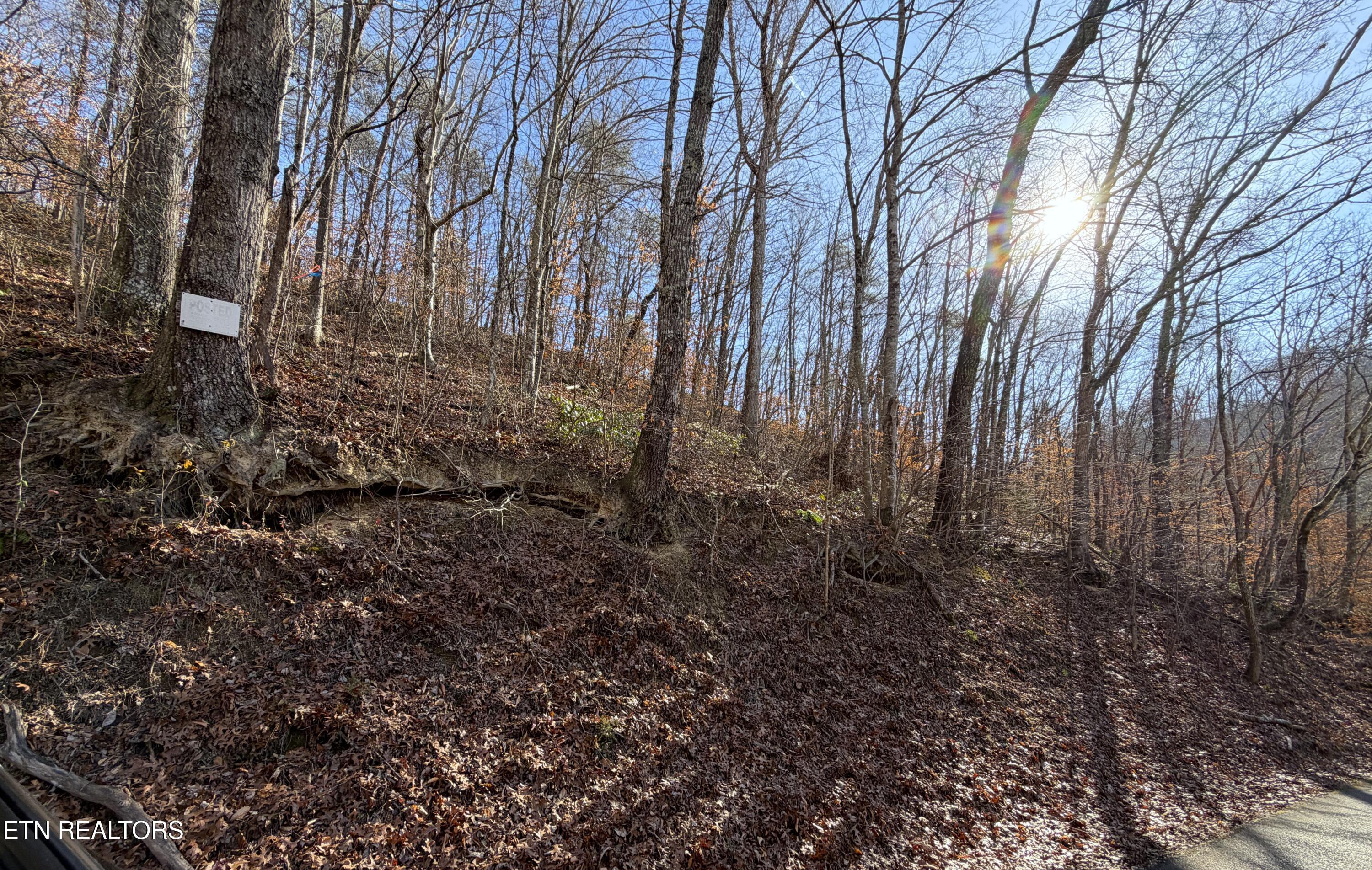 5.97-ac Avondale Hollow Road Rutledge, TN 37861 - Photo 2 of 8 IMG_1009