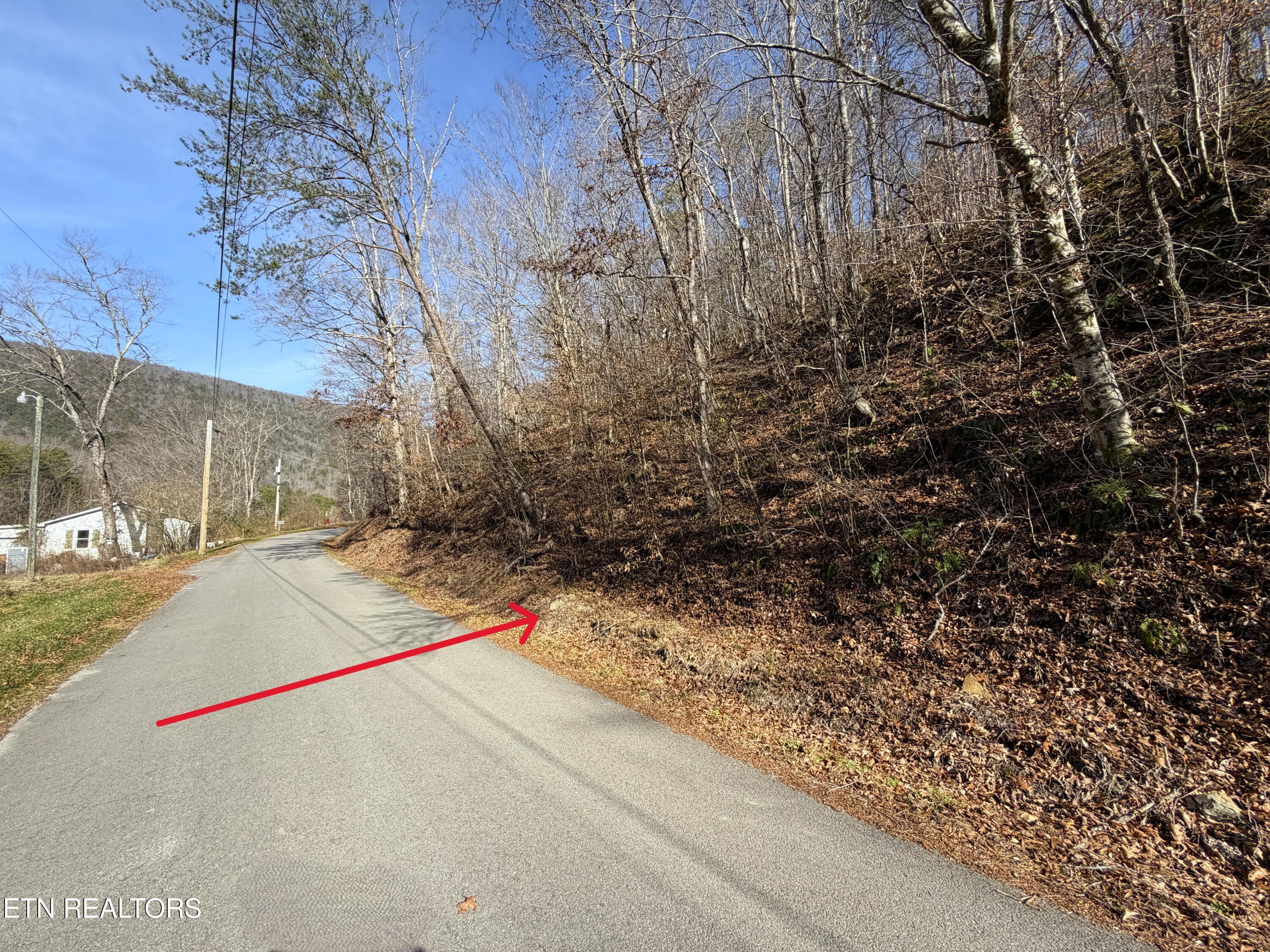 5.97-ac Avondale Hollow Road Rutledge, TN 37861 - Photo 6 of 8 IMG_1017
