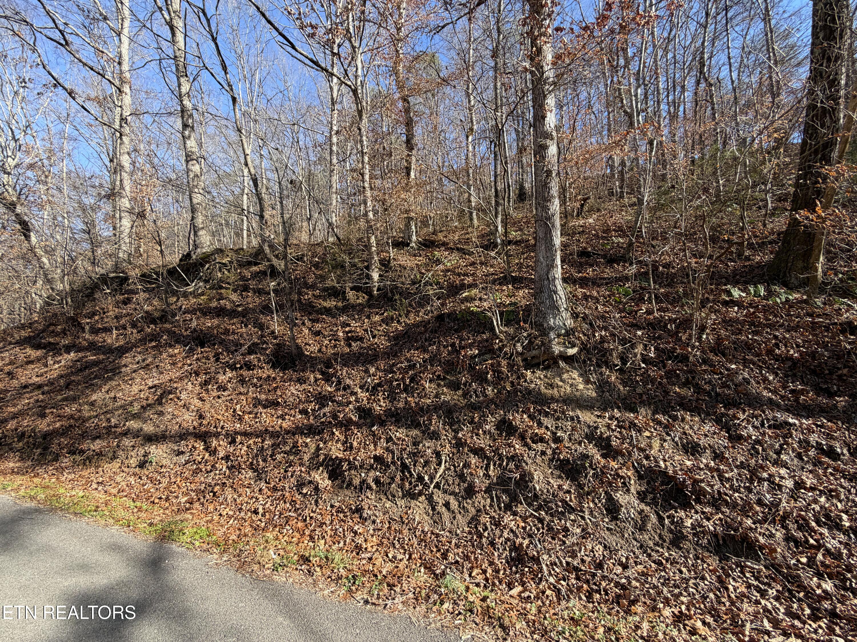 5.97-ac Avondale Hollow Road Rutledge, TN 37861 - Photo 7 of 8 IMG_1013
