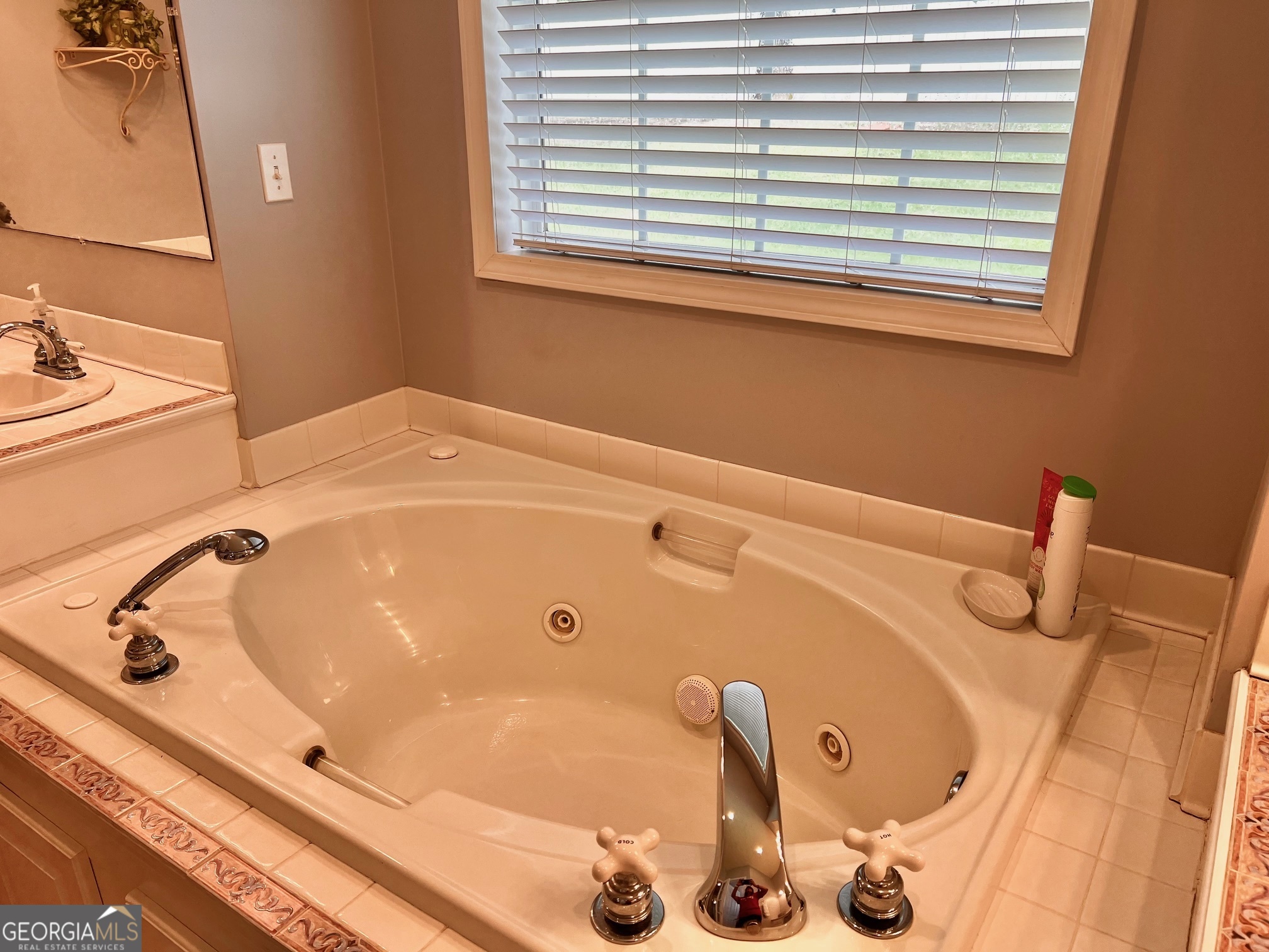 410 Irvin Road Thomaston, GA 30286 - Photo 23 of 42 a bathroom with a tub and a sink