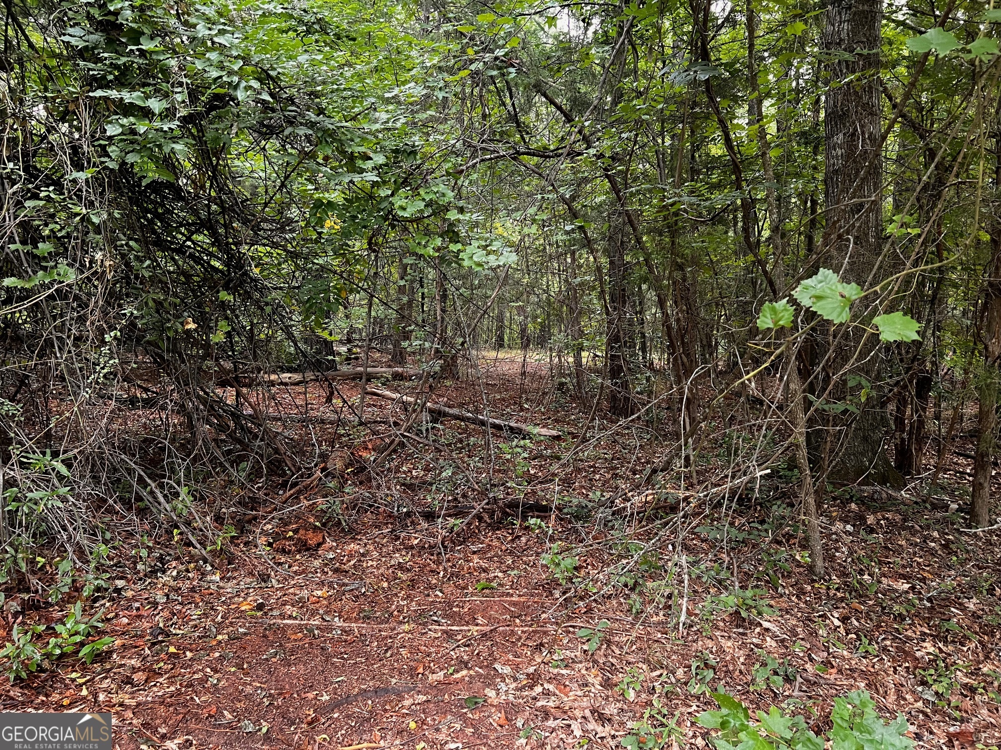 410 Irvin Road Thomaston, GA 30286 - Photo 39 of 42 a view of a yard with large trees