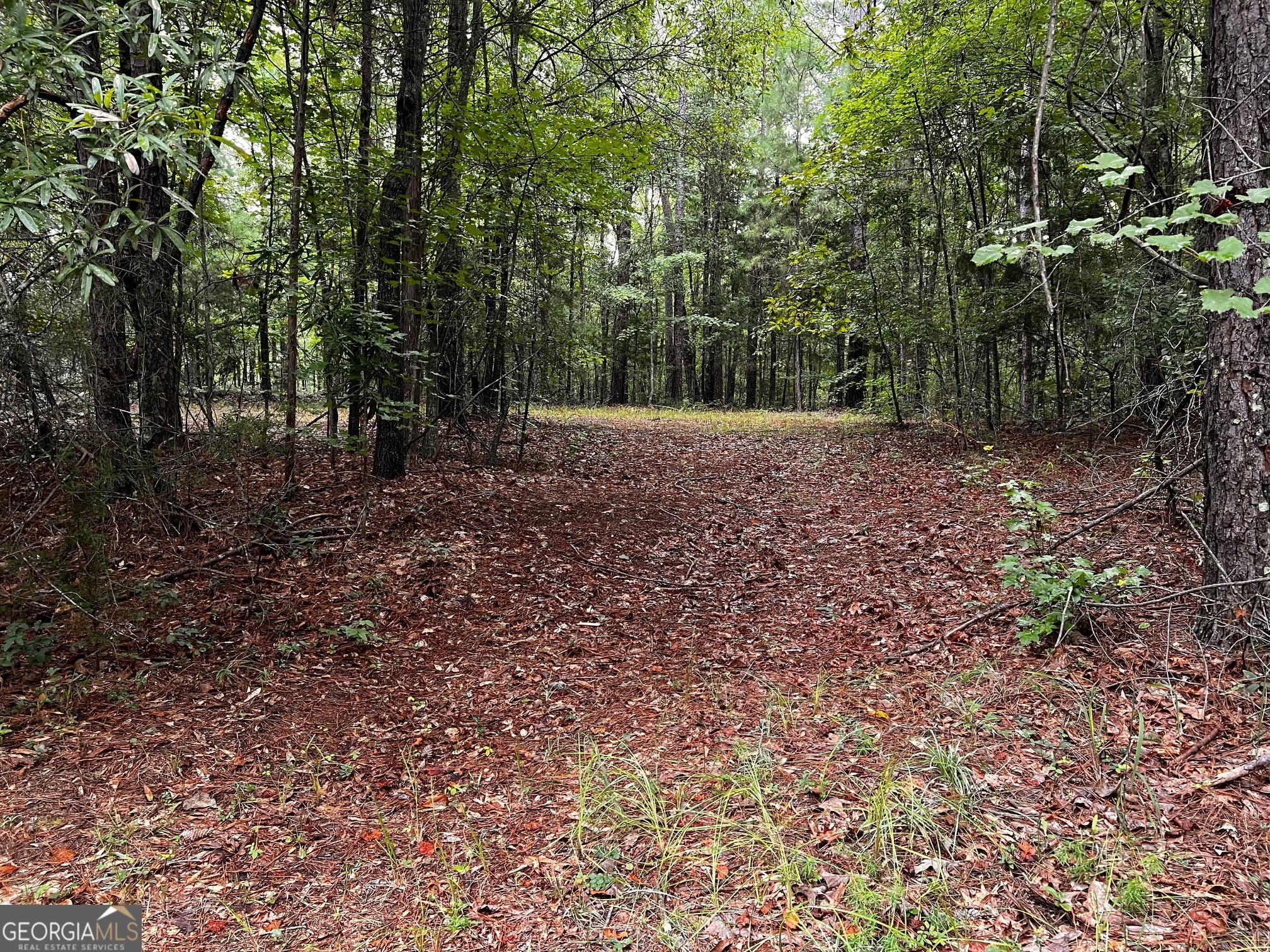 410 Irvin Road Thomaston, GA 30286 - Photo 40 of 42 a view of outdoor space and trees