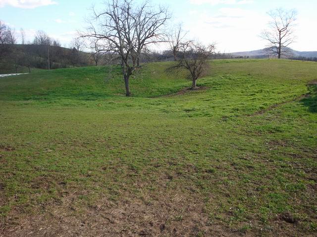 122 Nickells Mill Road Sinks Grove, WV 24976 - Photo 9 of 10 land