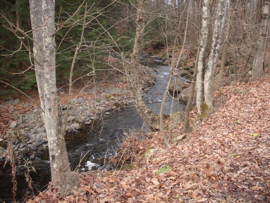 65 Whitewater Brook Road Cornish, NH 03745 - Photo 22 of 22