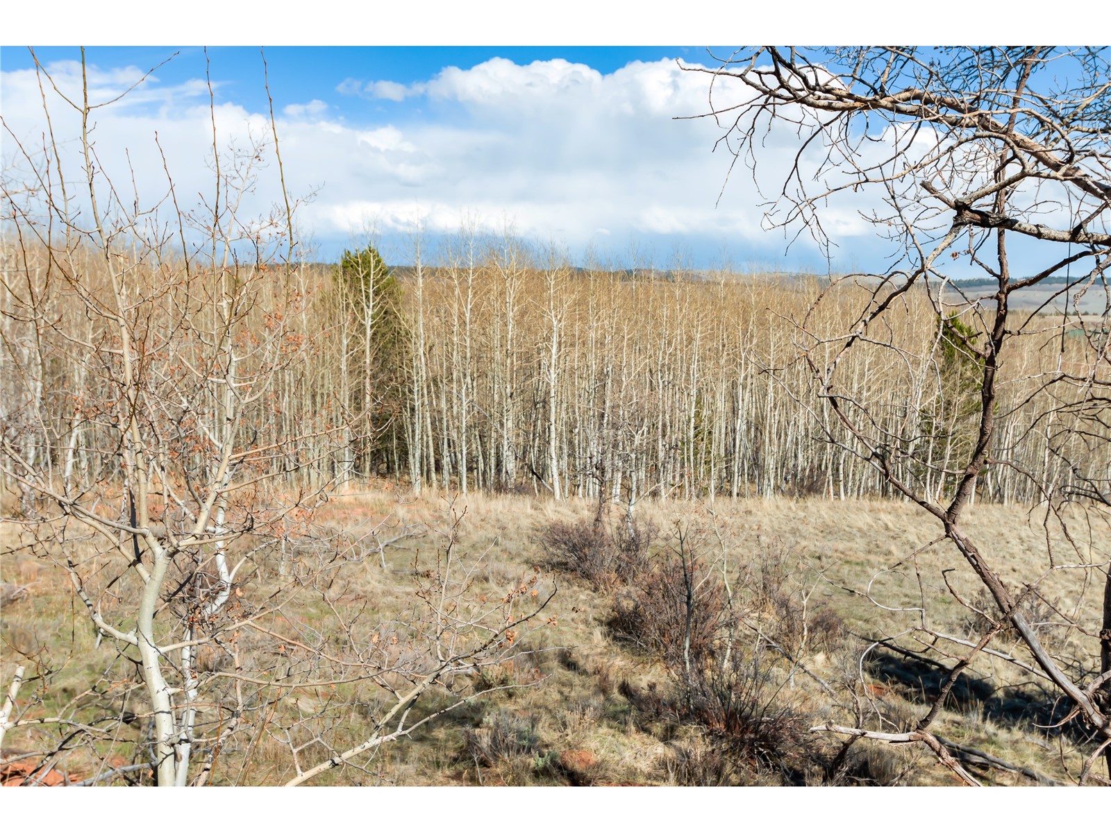 198 Lumberjack Road Fairplay, CO 80440 - Photo 4 of 6 Gallery Image 4