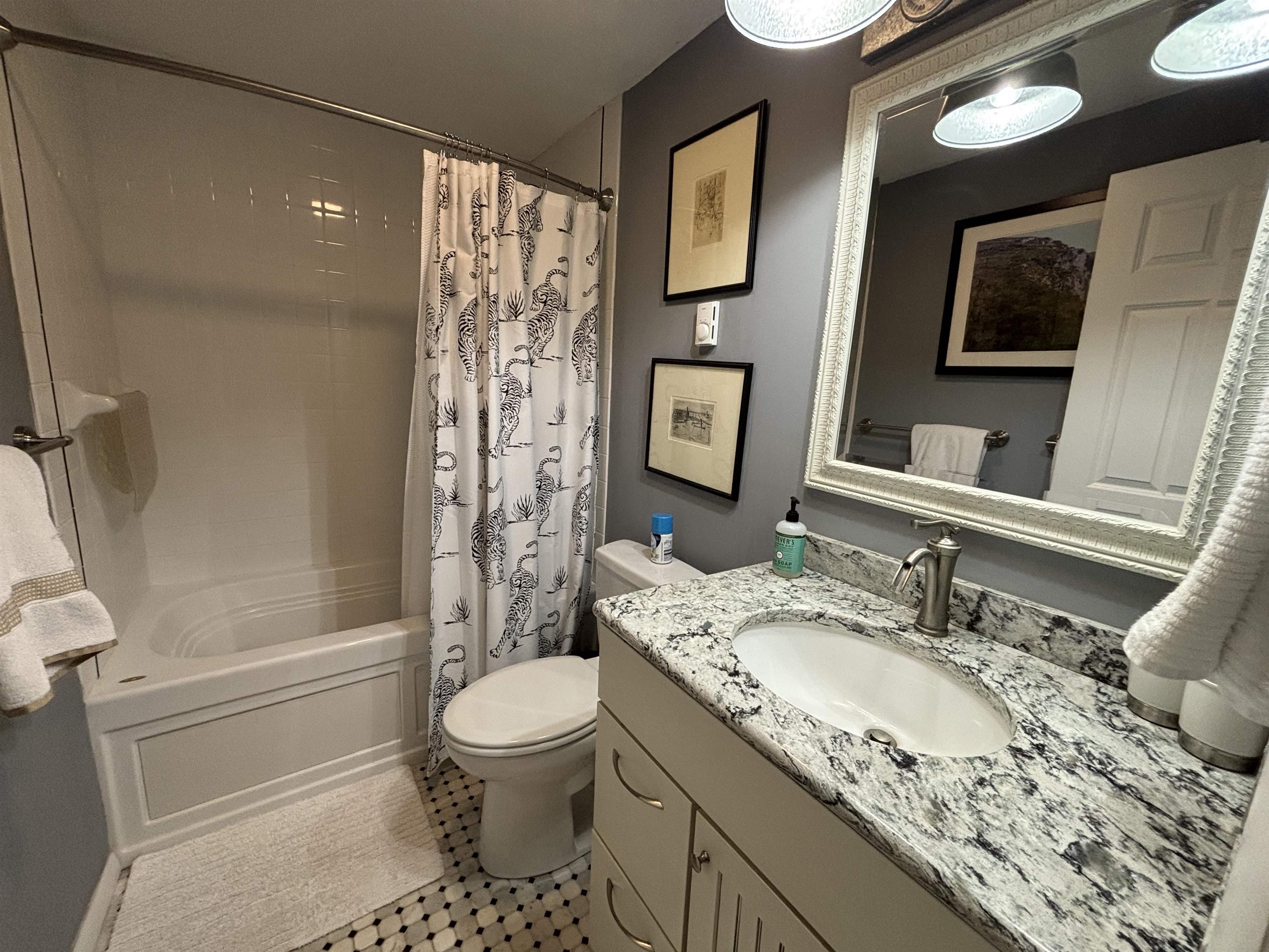 28 Tyler Spring Way, Unit 19 Waterville Valley, NH 03215 - Photo 31 of 35