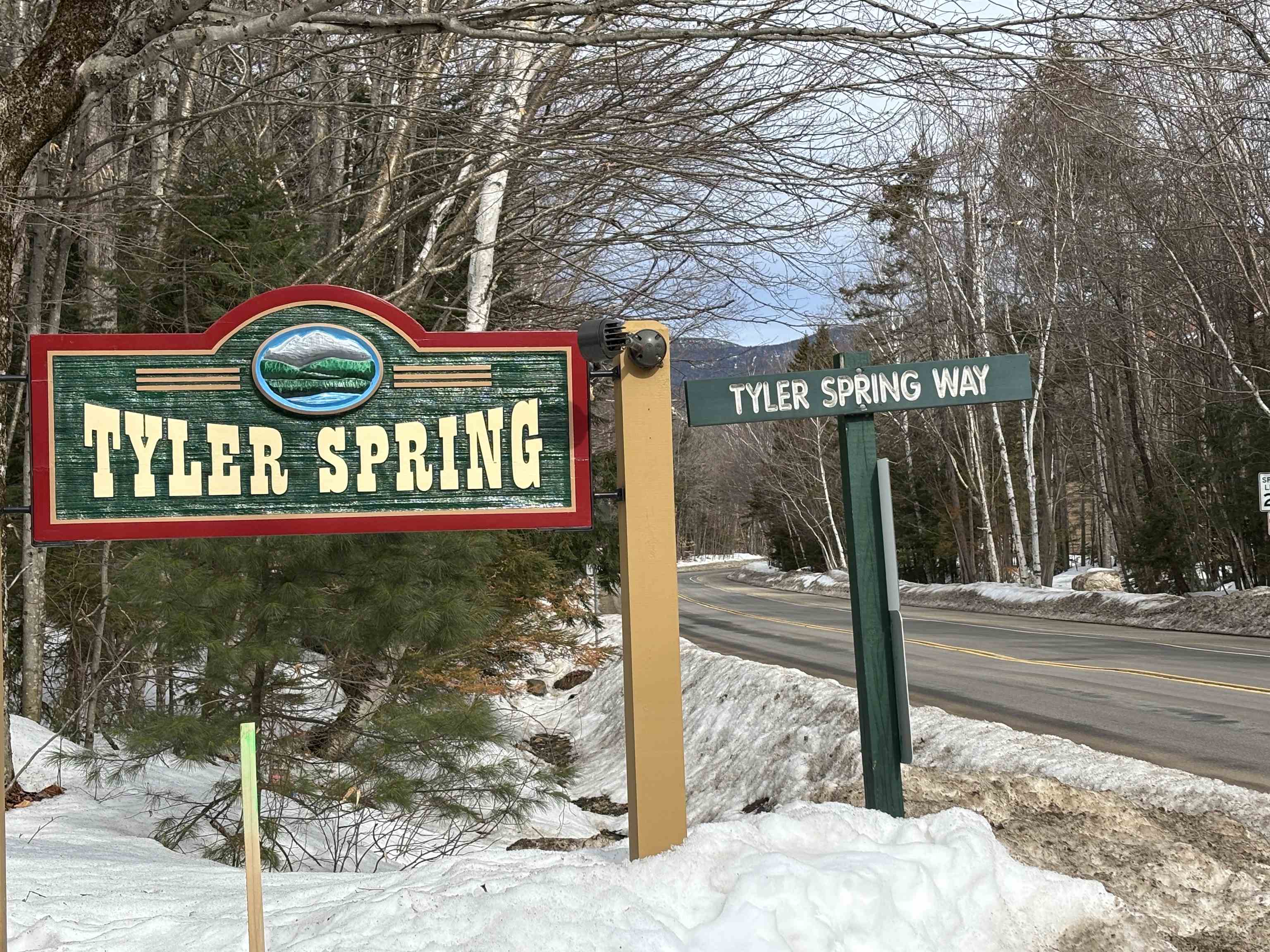 28 Tyler Spring Way, Unit 19 Waterville Valley, NH 03215 - Photo 35 of 35