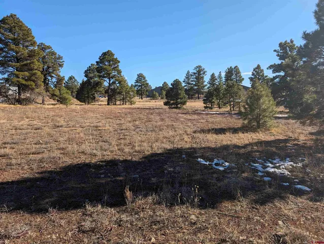 $65,000 | 147 Park Avenue, Pagosa Springs, CO 81147