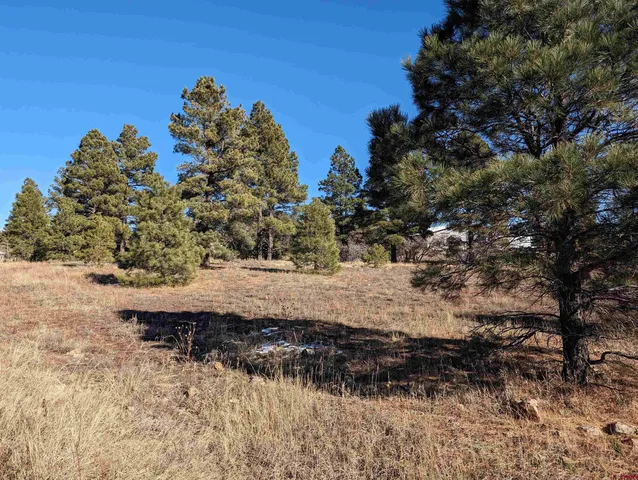 $65,000 | 147 Park Avenue, Pagosa Springs, CO 81147