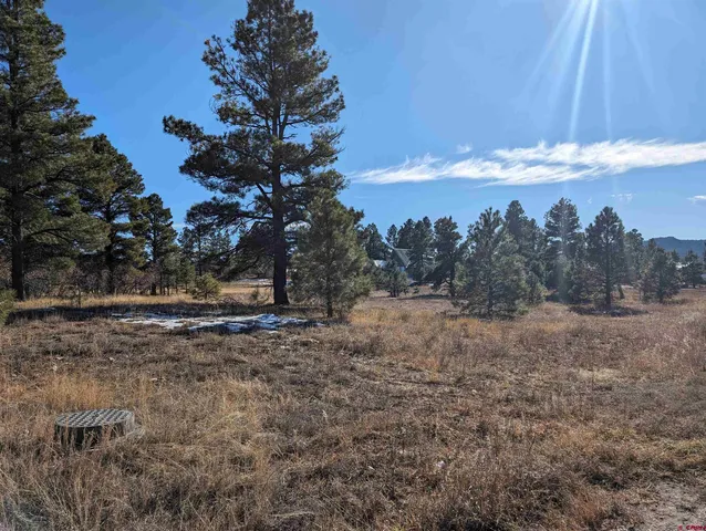 $65,000 | 147 Park Avenue, Pagosa Springs, CO 81147