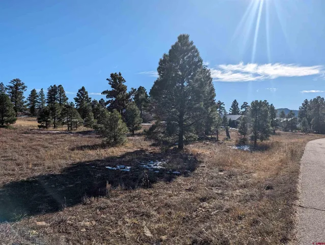 $65,000 | 147 Park Avenue, Pagosa Springs, CO 81147