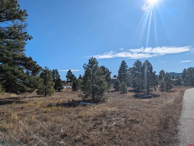 $65,000 | 147 Park Avenue, Pagosa Springs, CO 81147