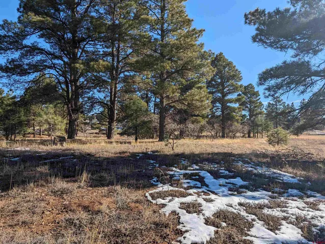 $65,000 | 147 Park Avenue, Pagosa Springs, CO 81147