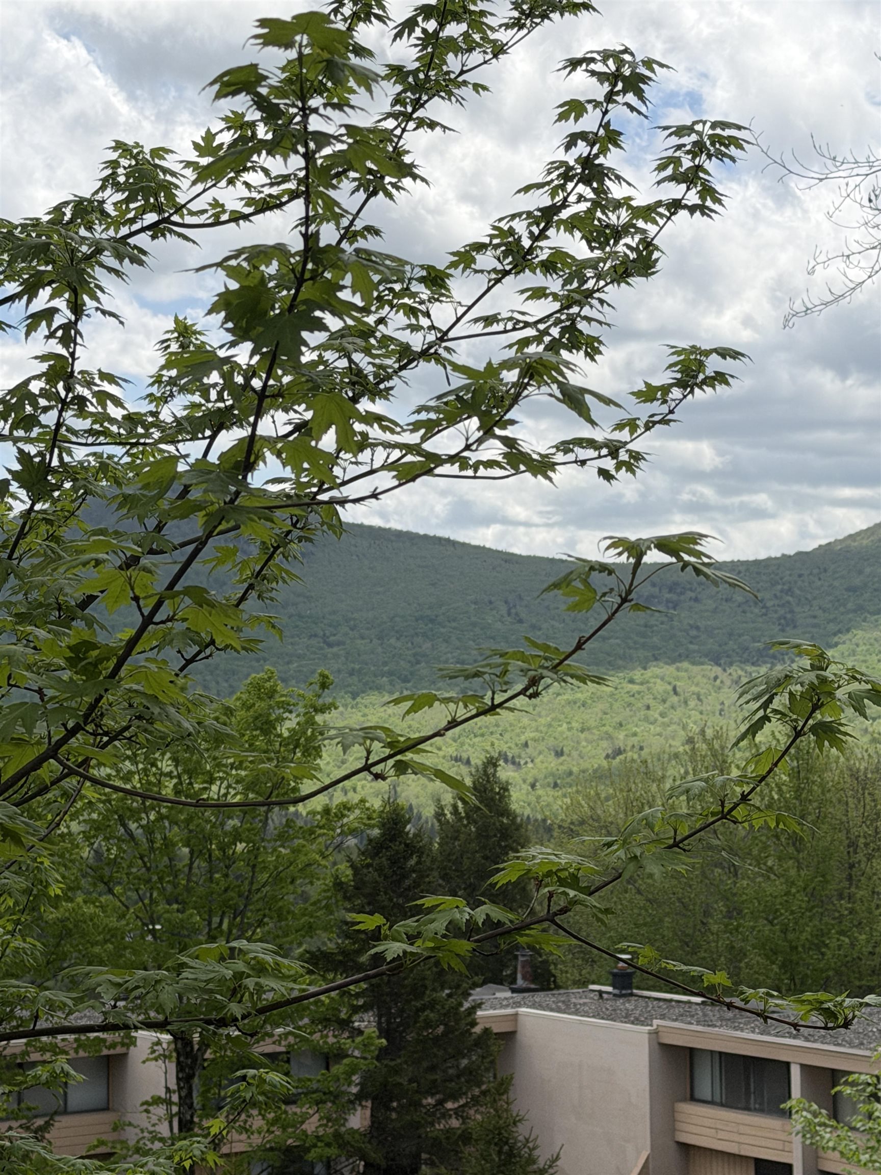 1275 Notchbrook Road, Unit 20 AB Stowe, VT 05672 - Photo 34 of 35