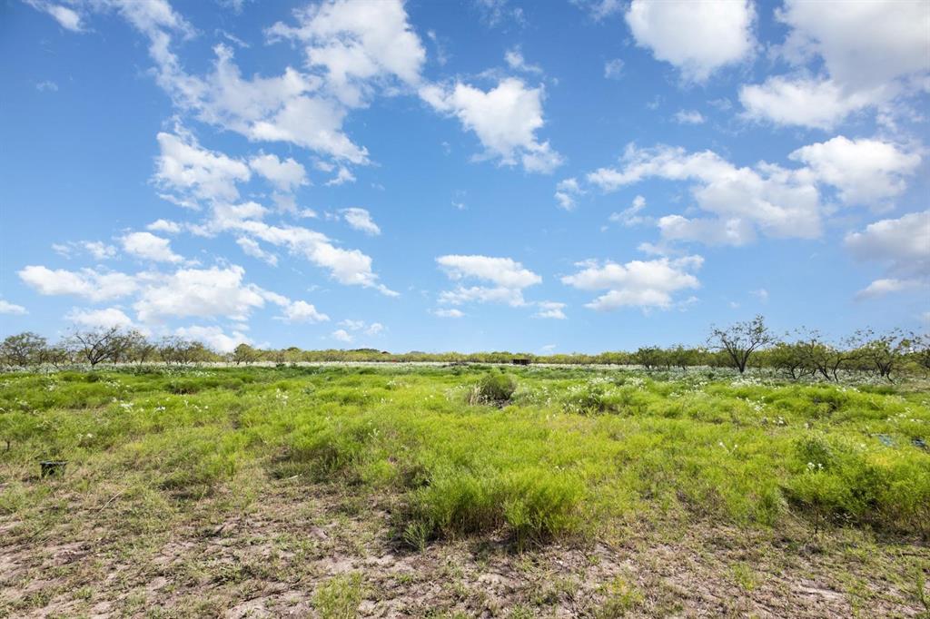 601 Gin Road Ennis, TX 75119 - Photo 28 of 33 a view of a big yard with lots of green space